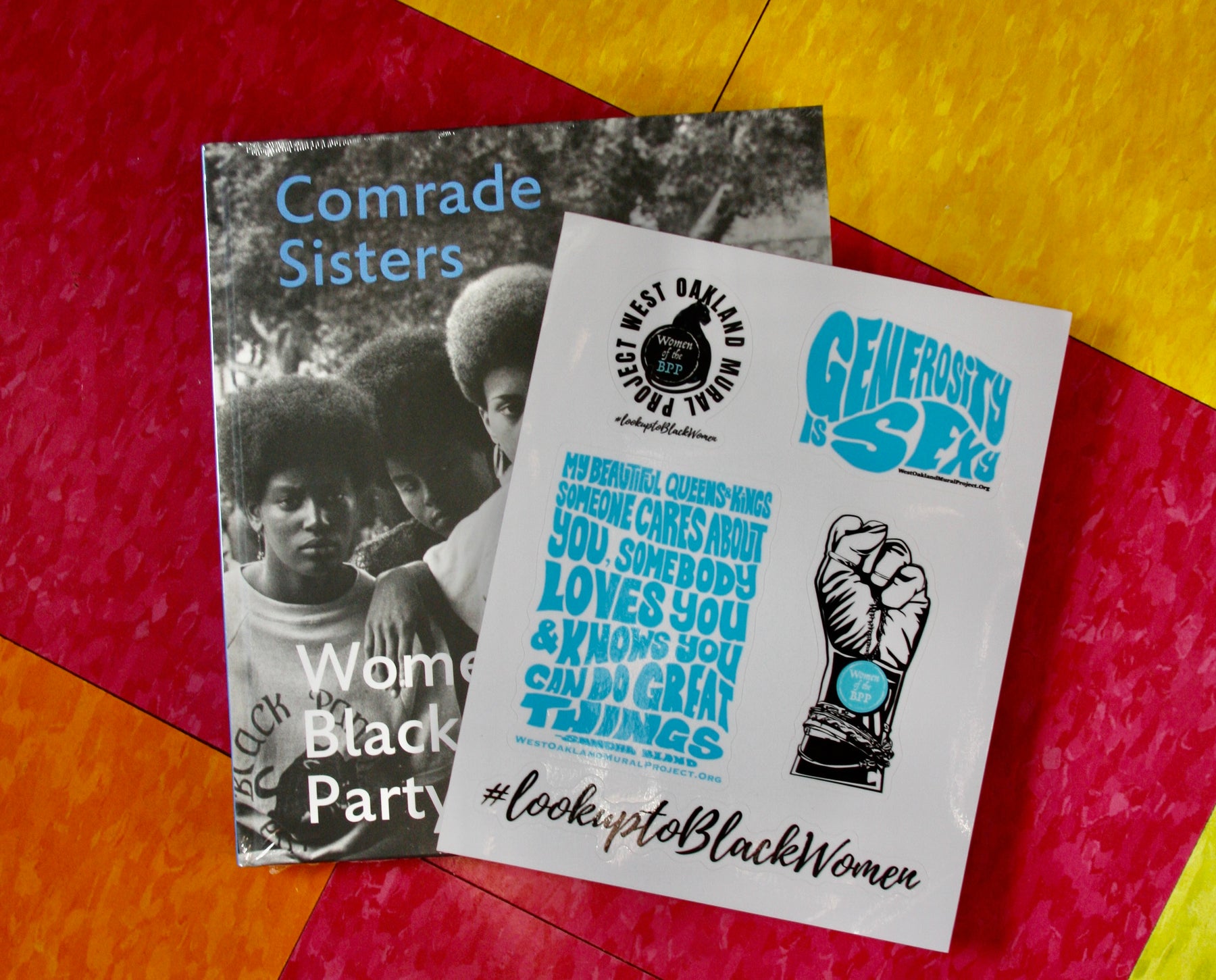 Comrade Sisters - ACC Art Books US